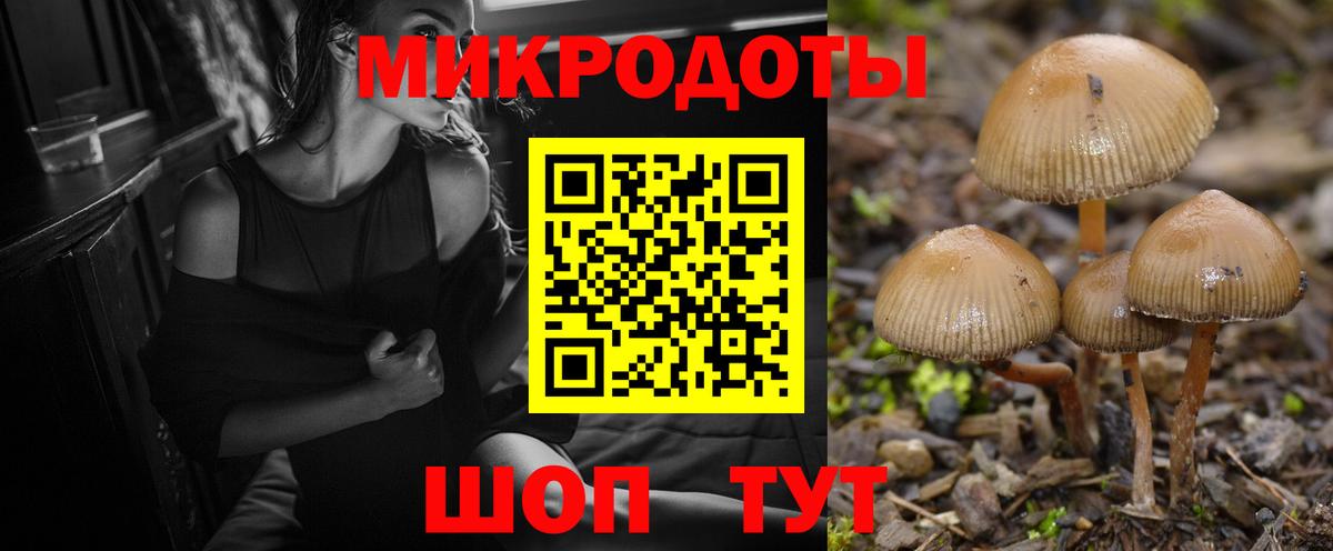 Псилоцибиновые грибы MAGIC MUSHROOMS Дербент