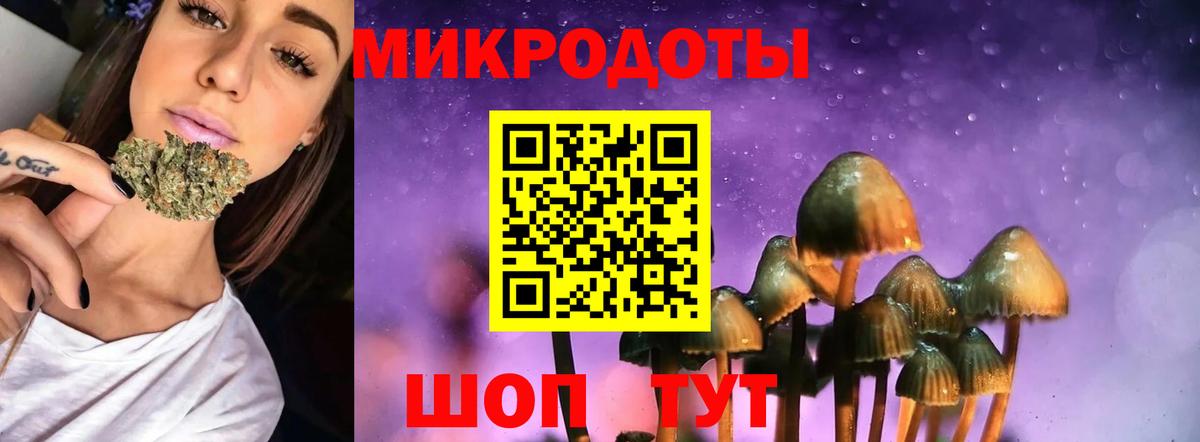 Дербент  Псилоцибиновые грибы Psilocybe  Вход с VPN 